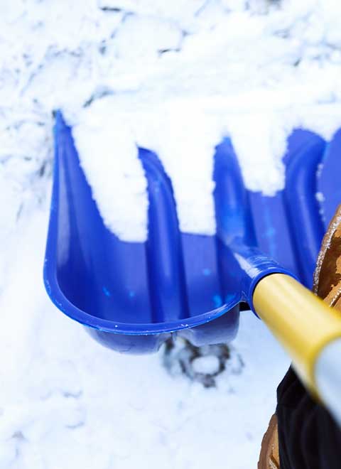 Snow Removal