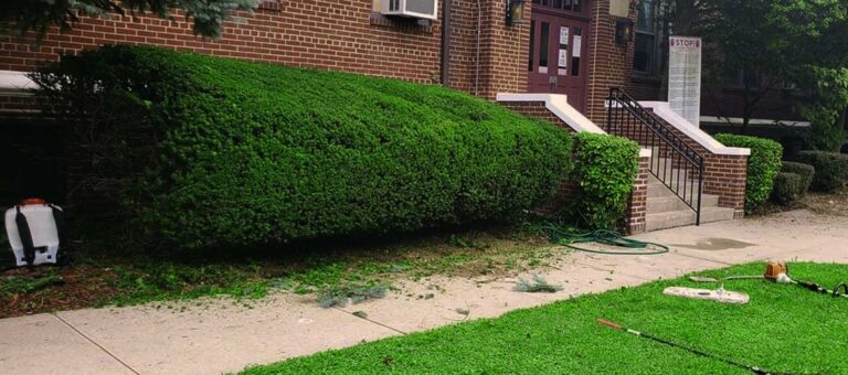 Commercial property grounds maintenance in Bergen County, NJ by Super Green Landscaping - photo 3 of 6