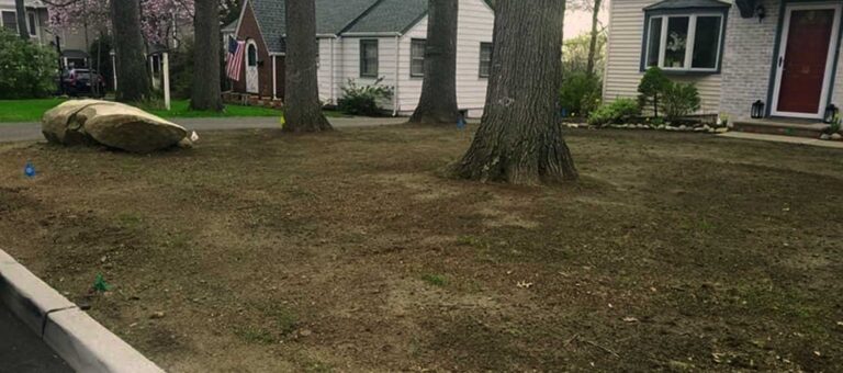 Sod installation in Midland Park, NJ by Super Green Landscaping - photo 1 of 7