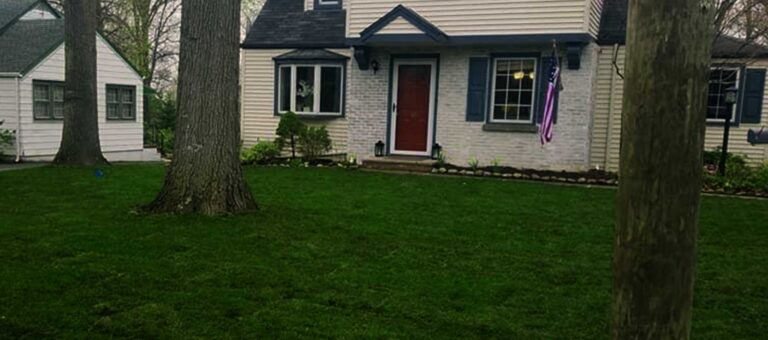 Sod installation in Midland Park, NJ by Super Green Landscaping - photo 4 of 7