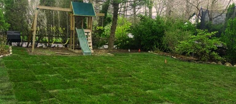 Sod installation in Midland Park, NJ by Super Green Landscaping - photo 7 of 7