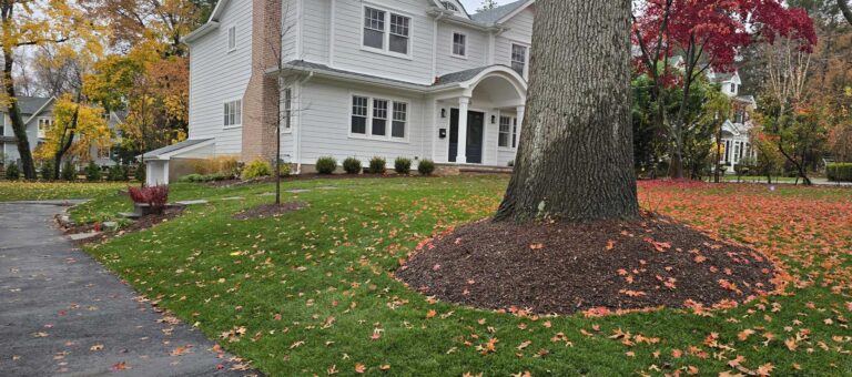 Front and back yard renovation in Ridgewood, NJ by Super Green Landscaping - photo 10 of 14