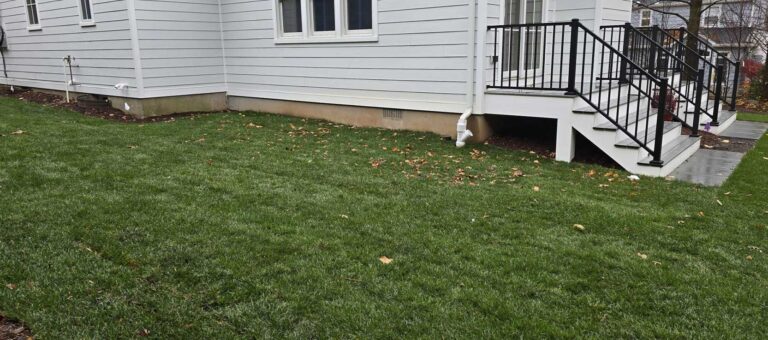 Front and back yard renovation in Ridgewood, NJ by Super Green Landscaping - photo 13 of 14
