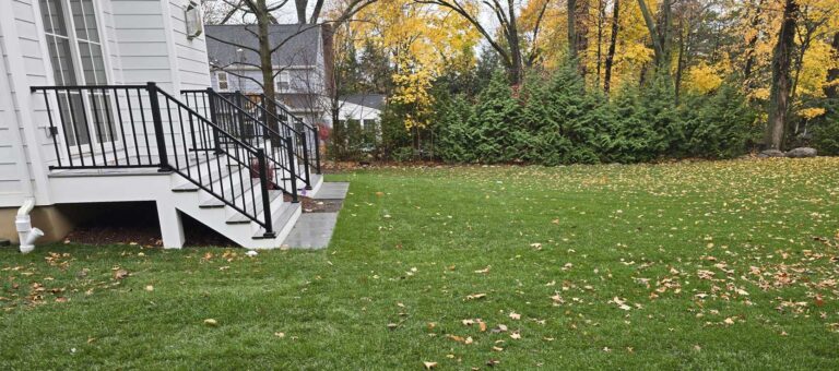 Front and back yard renovation in Ridgewood, NJ by Super Green Landscaping - photo 14 of 14
