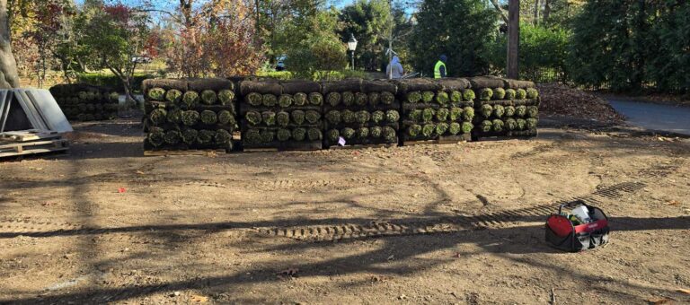 Front and back yard renovation in Ridgewood, NJ by Super Green Landscaping - photo 2 of 14
