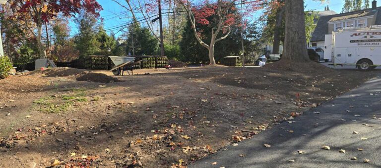 Front and back yard renovation in Ridgewood, NJ by Super Green Landscaping - photo 5 of 14