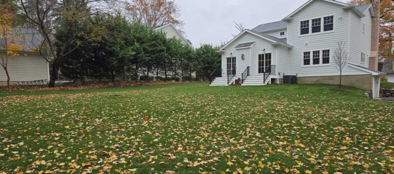 Front and back yard renovation in Ridgewood, NJ by Super Green Landscaping - photo 7 of 14