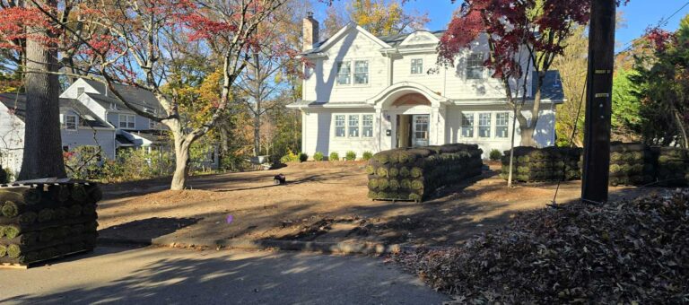 Front and back yard renovation in Ridgewood, NJ by Super Green Landscaping - photo 8 of 14