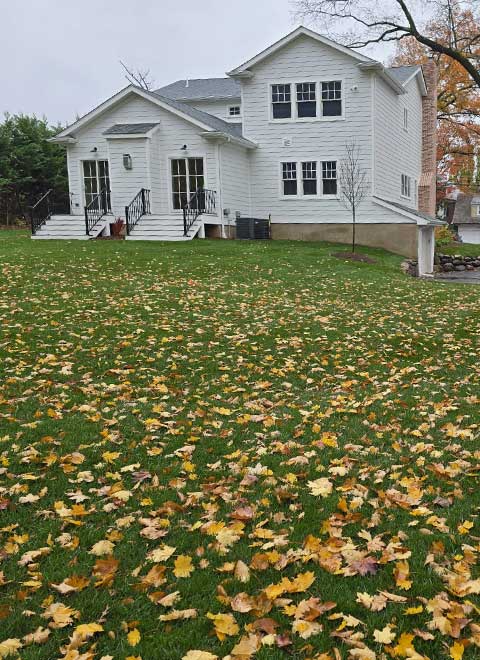 Spring & Fall Clean Ups