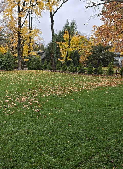 Spring & Fall Clean Ups
