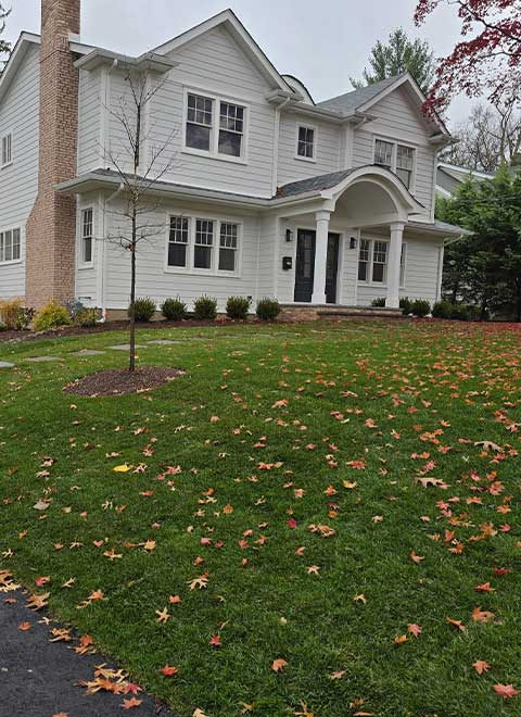lawn maintenance and planting Lawn Maintenance & Planting