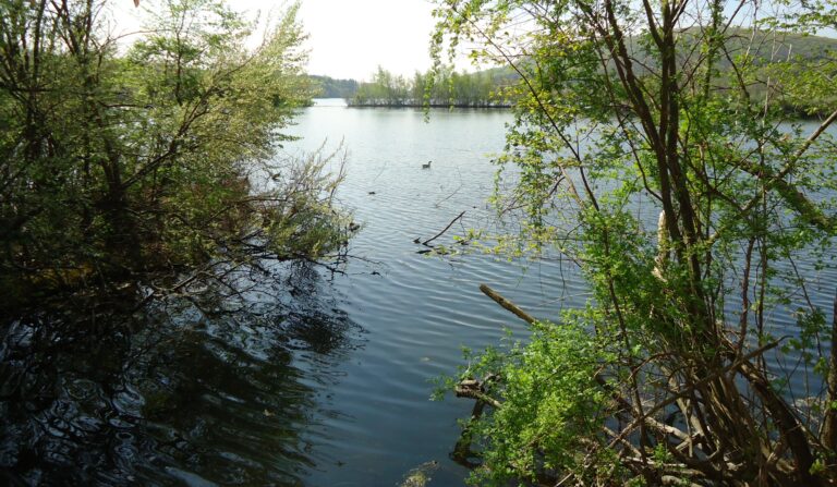 The lake at the Franklin Lakes Nature Preserve in Franklin Lakes, New Jersey