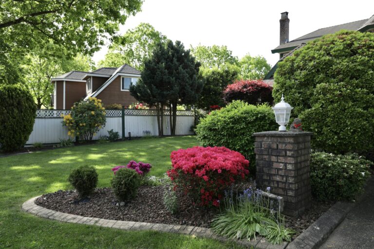 Manicured suburban backyard with flowering azaleas, clipped shrubs and a crisp green lawn