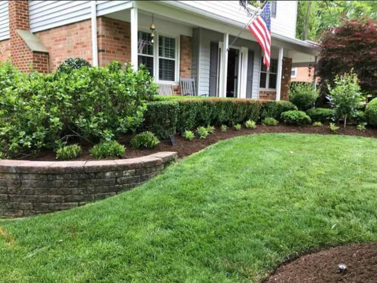 Low retaining wall and clipped hedge framing a sharply edged front lawn at a suburban home