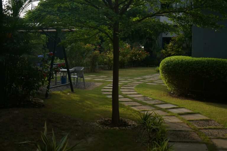 Stone path curving past a shaped hedge and a mature tree in a shaded back garden