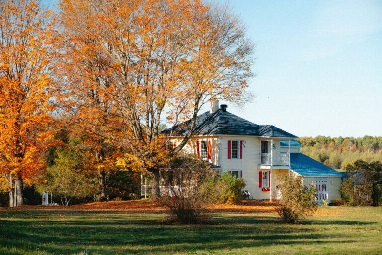 White suburban house framed by orange autumn trees with fallen leaves across the lawn
